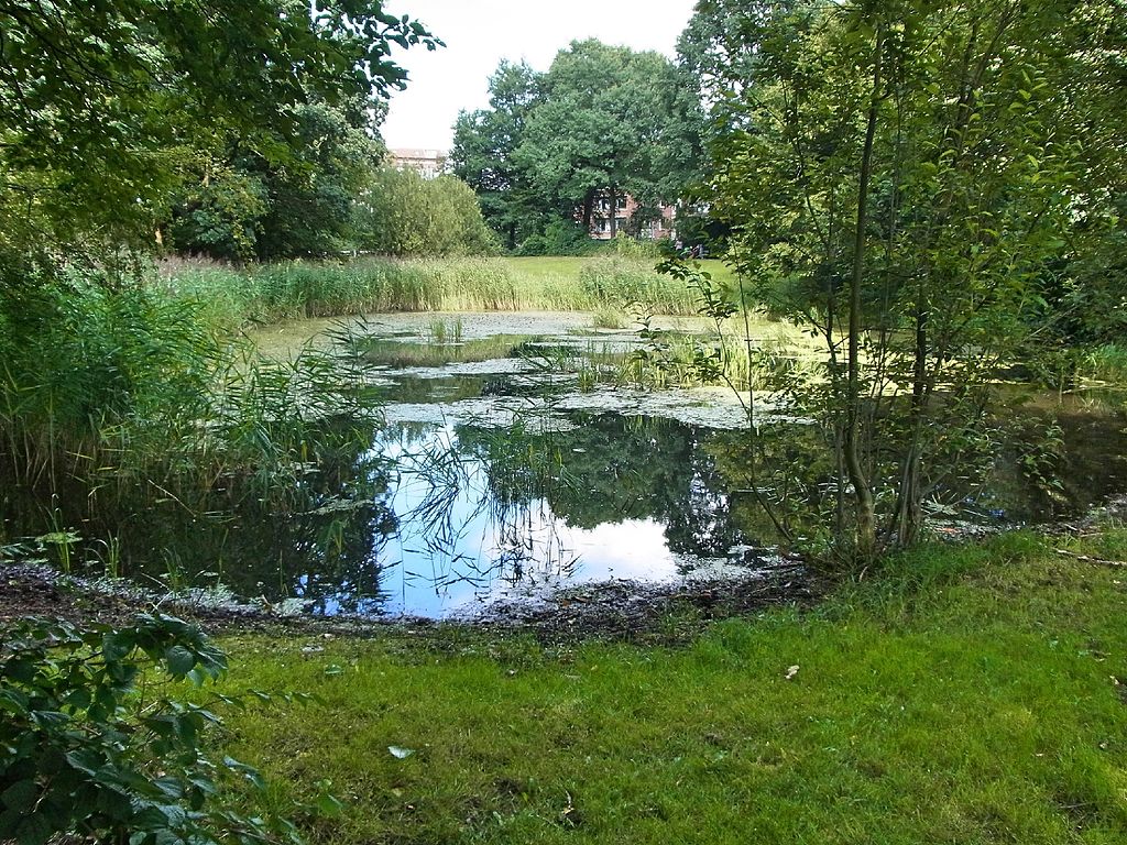 Biotop Schleidenpark (Hamburg-Barmbek-Süd)