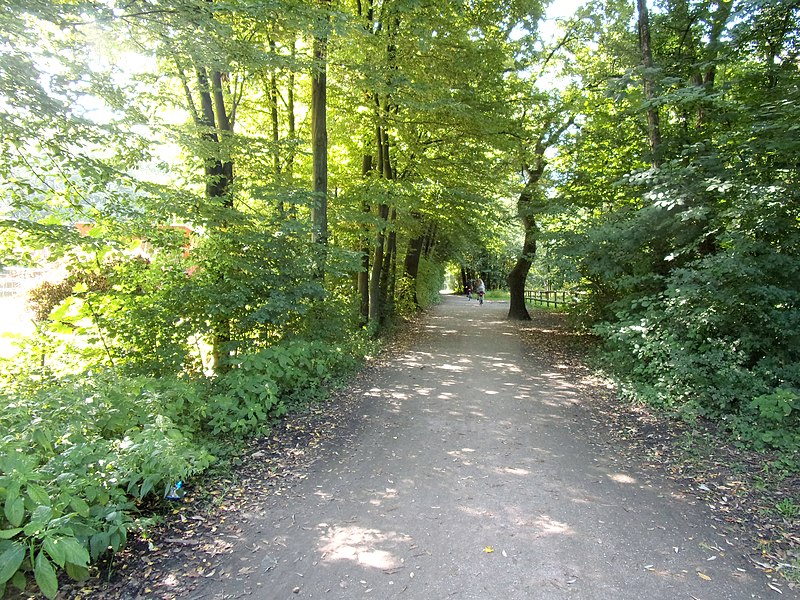Kiwittsmoor Park in (Hamburg-Langenhorn)