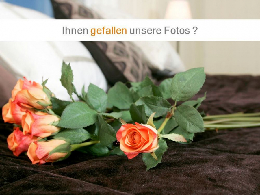 1_Leonhard Immobilien
